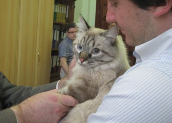 ����˹һè������ѡ�г����