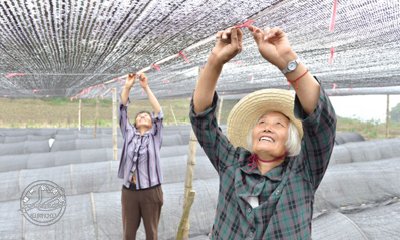 ����ľ���ϡ���ɹ�¡�