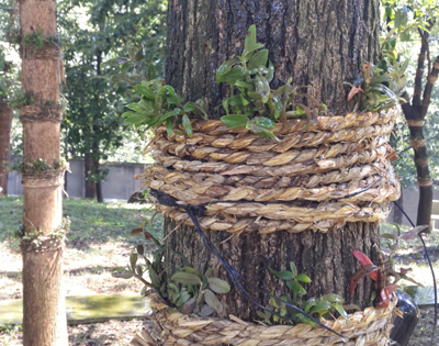 ��Ƥʯ��������