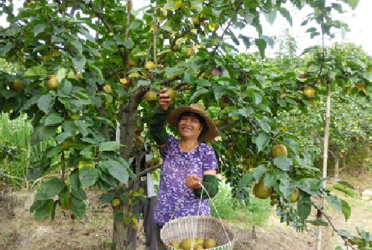 ���д�������� ÿ����10Ԫ����