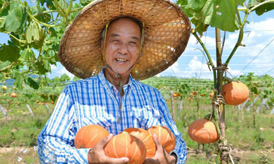 ����ϹϽ����ڽ����г��͹��̹���㳡����