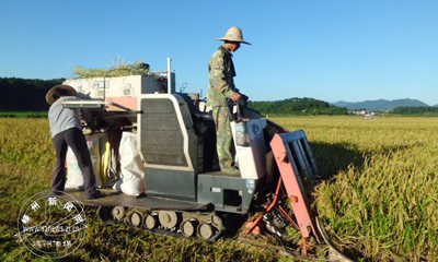 �絾���� �����ո�