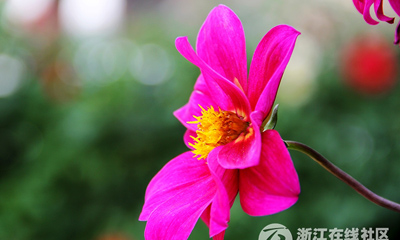 ���������㡿������