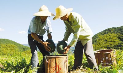 �������������������