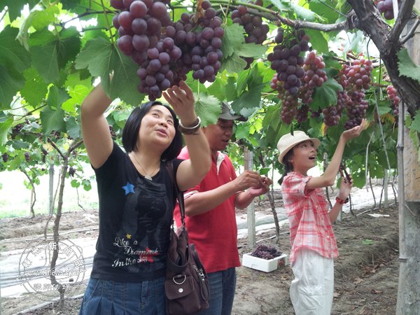 ������ ������ժ��