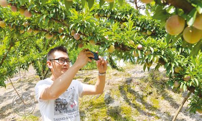 ������ ����������