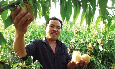 ������˹������ ÿ������5Ԫ��