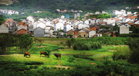 ������Խ�硱��Ӱ������ѡ�������