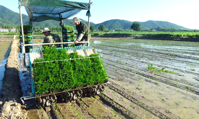 �����������߲�