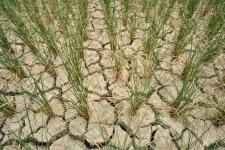 ���죺Ҫ��Ѿ�����ˮ��ȫ����λ