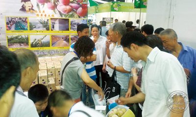 �㽭��Ʒˮ��չ���� ����֮������������