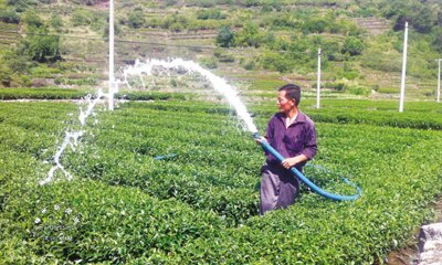 �������� ũ�񿹺�������