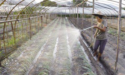 ʯ����л��ؿ���æ