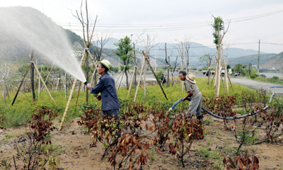 ���и��ػ�����֯�Ծ�