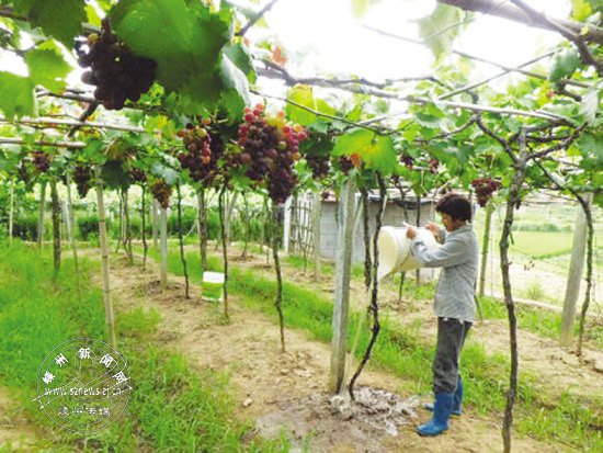 ��ũ�������������