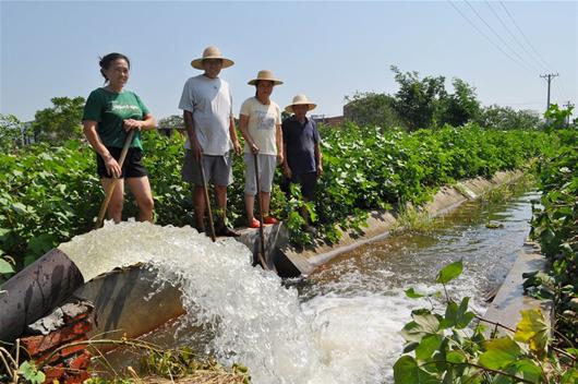 8��11�տ�������