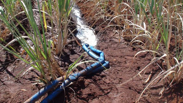 8��10�տ�������