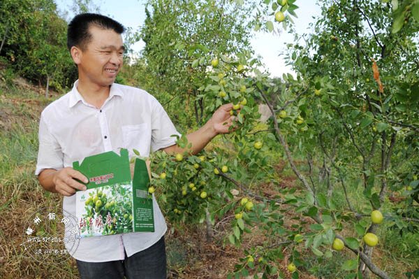 �����гɹ� ���ӷ�����