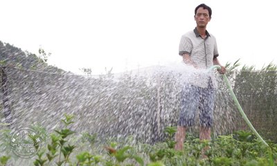 ��ũ�����Ծ� ������ʧ