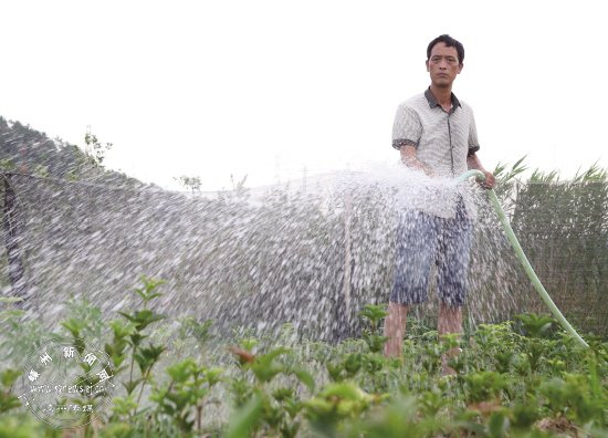 8��13�տ�������