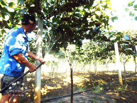 ��ũ��ˮ����������