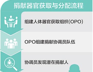 ���ٻ�ȡ��֯���� ͼ���������