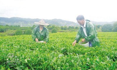 ��ũ��ժ���