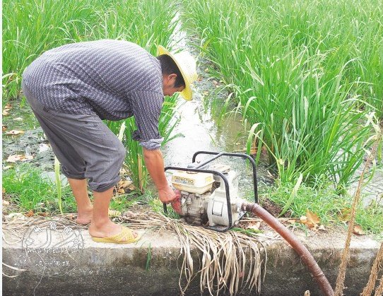 ���¸ɺ���������