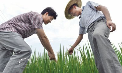 ָ���������溦����