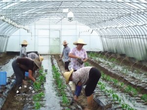 ���и��ز�ũ�����߲�