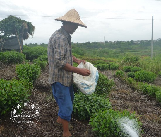 ��ũ�����ܺ���Ҷ