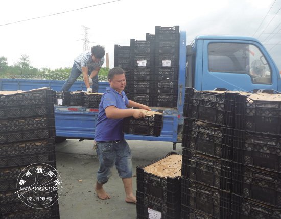 һ���䶼�ǽ��ڰٺϻ�����