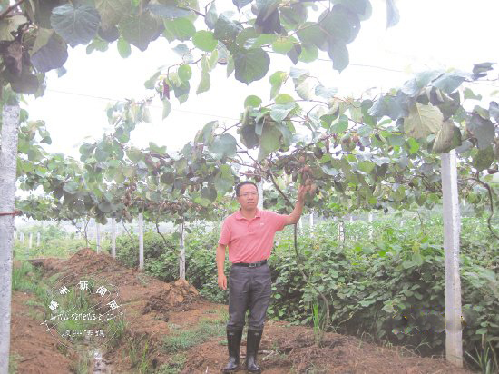 ��ɽ⨺���ϲ�����