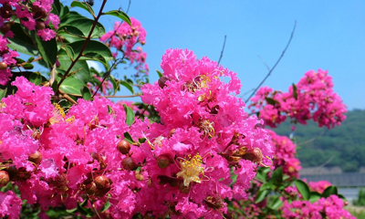 ���������㡿��΢