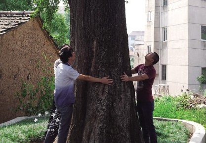 500��������� ��3�˲��ܺϱ�