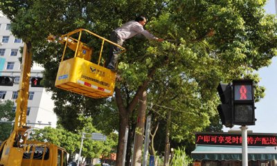 �����е��ĺ��̵Ƹ���