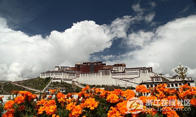 ���������㡿�������������