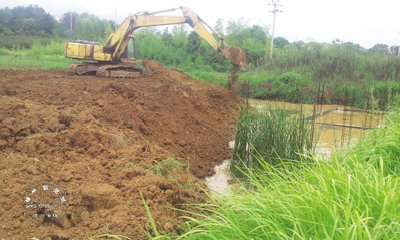 ��������࿲��ɽ��Υ�����ڵ��ѿɸ���