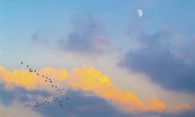 ���������㡿����