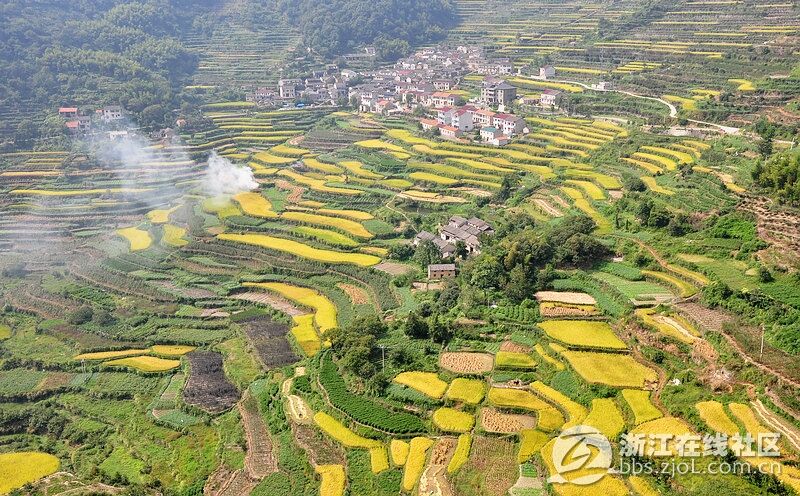 ���������㡿������