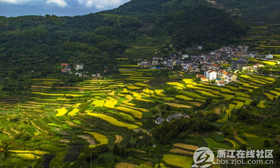 ���������㡿������