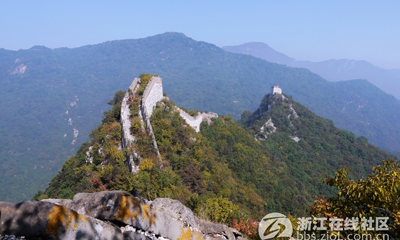 ���������㡿����Ұ����