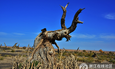 ���������㡿ǧ�겻�������