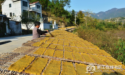 ���������㡿���˵ķ���Ƭ