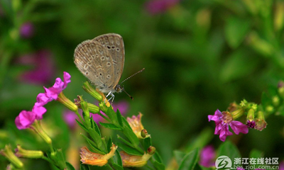 ���������㡿����