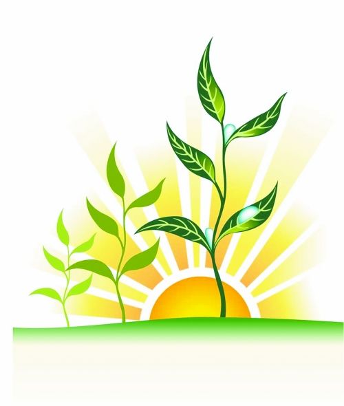 �������з�չС΢�� �Ͽط��չ���