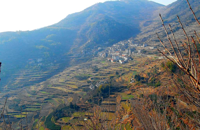 ���������㡿����������