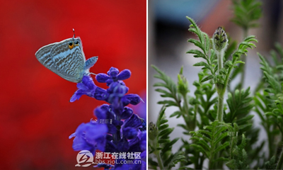 ���������㡿޹�²�����β��