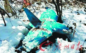 ���ʣ��������賯�ʽ���������