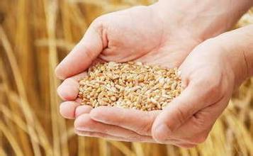 �й�ÿ����ʳ������ʧ���߰��ڽ�